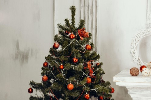 Find the Perfect Pre-Lit Christmas Tree This Season