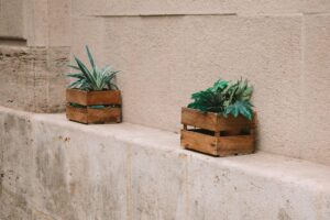 How to Choose the Perfect Artificial Plant for Your Space