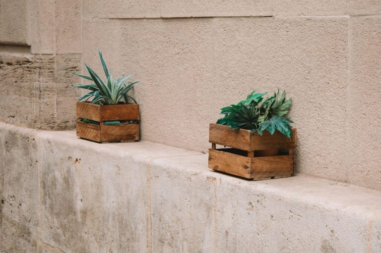 How to Choose the Perfect Artificial Plant for Your Space